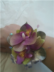 Silk Phalaenopsis Orchid Wristcorsage